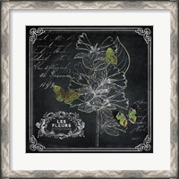 Framed Chalkboard Botanical II