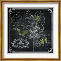 Framed Chalkboard Botanical II