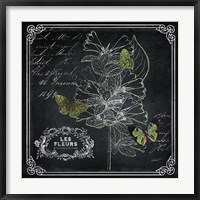 Framed Chalkboard Botanical II