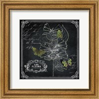 Framed Chalkboard Botanical II