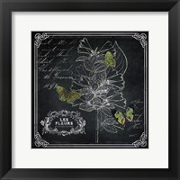 Framed Chalkboard Botanical II