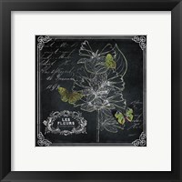 Framed 'Chalkboard Botanical II' border=