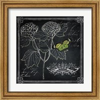 Framed 'Chalkboard Botanical I' border=