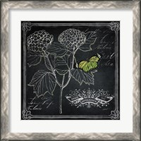 Framed 'Chalkboard Botanical I' border=