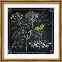 Framed Chalkboard Botanical I