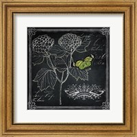 Framed Chalkboard Botanical I