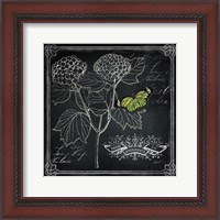 Framed Chalkboard Botanical I