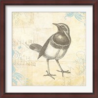 Framed Engraved Birds II