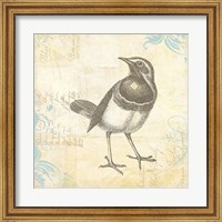 Framed 'Engraved Birds II' border=