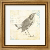 Framed Engraved Birds I