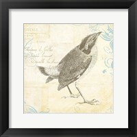 Framed Engraved Birds I
