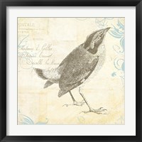 Framed 'Engraved Birds I' border=