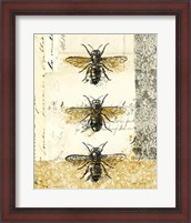 Framed Golden Bees n Butterflies No 1