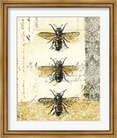 Framed Golden Bees n Butterflies No 1