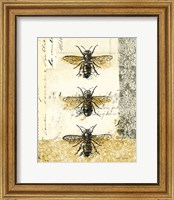 Framed 'Golden Bees n Butterflies No 1' border=