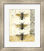 Framed 'Golden Bees n Butterflies No 1' border=