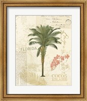 Framed Floridian II