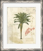 Framed Floridian II