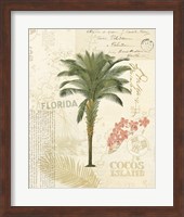 Framed Floridian II
