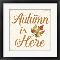 Falling For Fall IV Framed Print