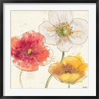 Framed Painted Poppies IV