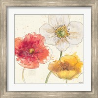 Framed 'Painted Poppies IV' border=