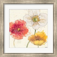 Framed Painted Poppies IV