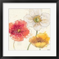 Framed Painted Poppies IV