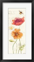 Painted Poppies VI Framed Print