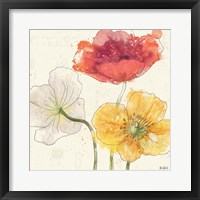 Painted Poppies V Framed Print