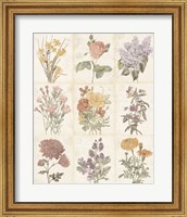 Framed Flowers of the Month 9 Patch Vintage