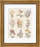 Framed Flowers of the Month 9 Patch Vintage