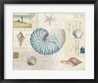 Beach Wonders I No Butterflies Framed Print