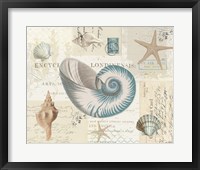 Beach Wonders II No Butterflies Framed Print