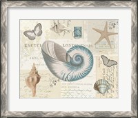 Framed 'Beach Wonders II' border=