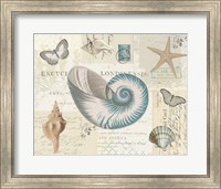 Framed 'Beach Wonders II' border=