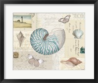 Framed 'Beach Wonders I' border=