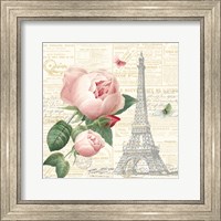Framed Roses in Paris IV