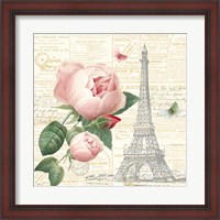 Framed Roses in Paris IV