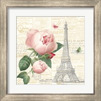 Framed 'Roses in Paris IV' border=