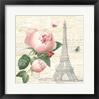 Framed Roses in Paris IV