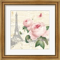 Framed 'Roses in Paris III' border=