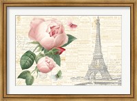 Framed Roses in Paris II