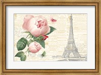 Framed Roses in Paris II