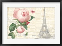 Roses in Paris II Framed Print