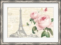 Framed Roses in Paris I