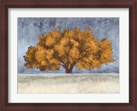Framed Golden Oak