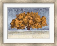 Framed Golden Oak