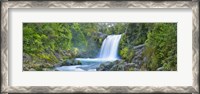 Framed Tawhai Falls, New Zealand (detail)