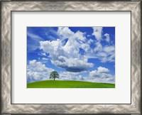 Framed Oak and clouds, Bavaria, Germany